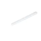 Philips Reglette LED CoreLine BN126C 31W 4100lm - 840 Bianco Freddo | 120cm - 1x Cablaggio Entra/Esci
