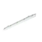 Philips Stagna LED Ledinaire WT065C 23/42W 2900/4800lm - 840 Bianco Freddo | 120cm